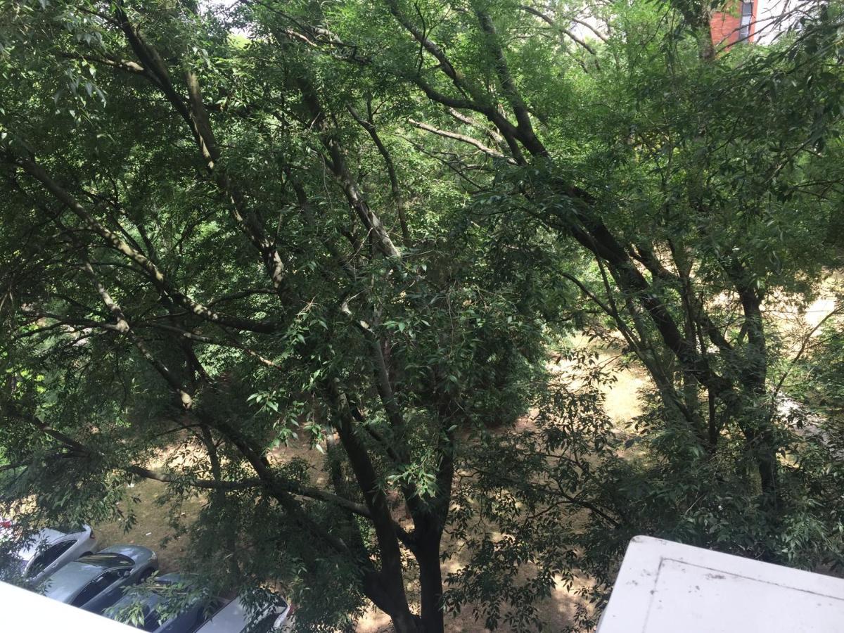 Apartment Ljiljana Belgrad Dış mekan fotoğraf