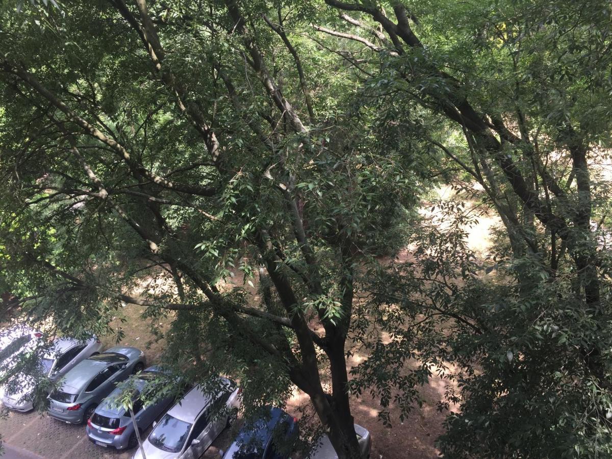 Apartment Ljiljana Belgrad Dış mekan fotoğraf
