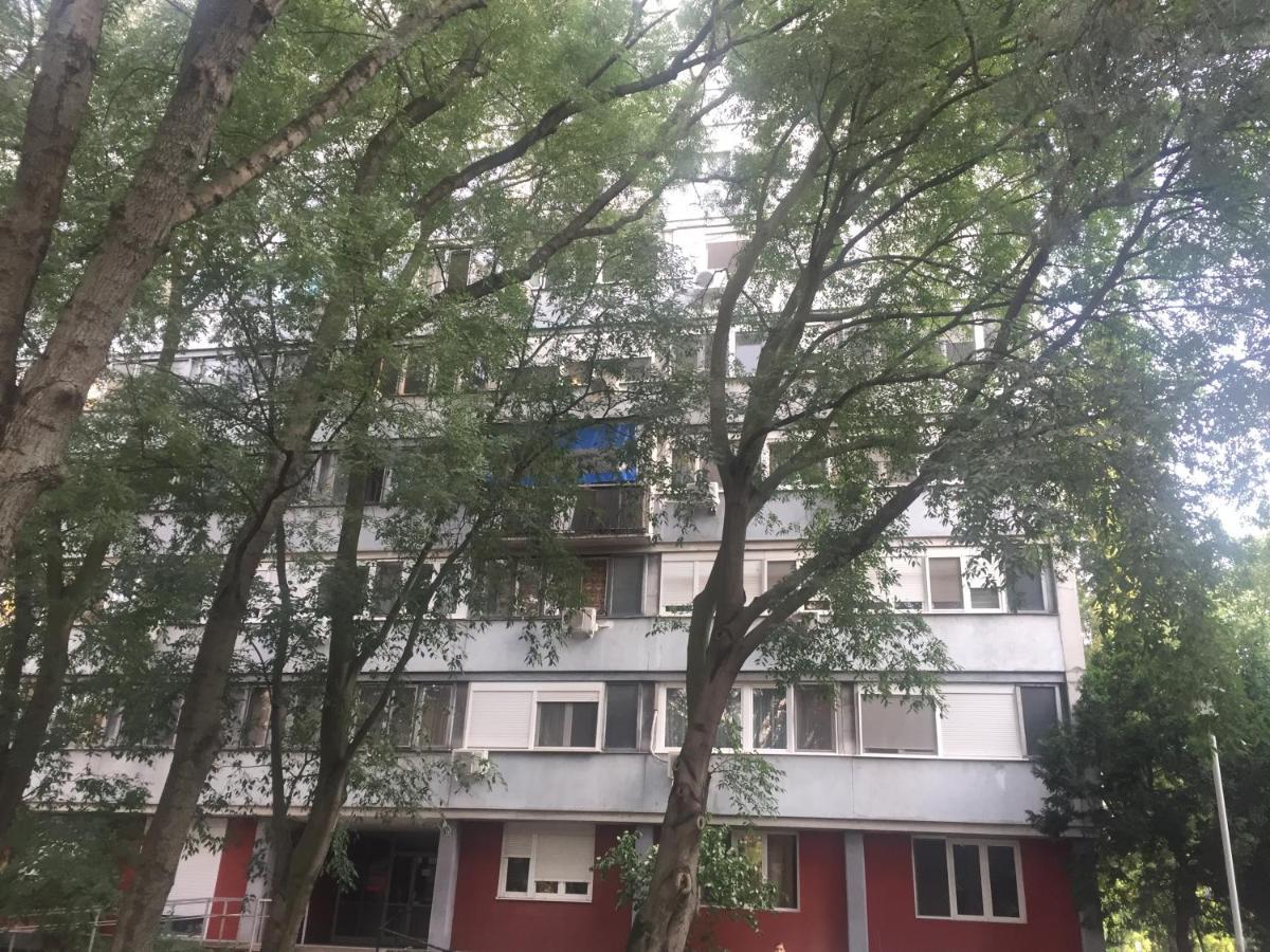 Apartment Ljiljana Belgrad Dış mekan fotoğraf