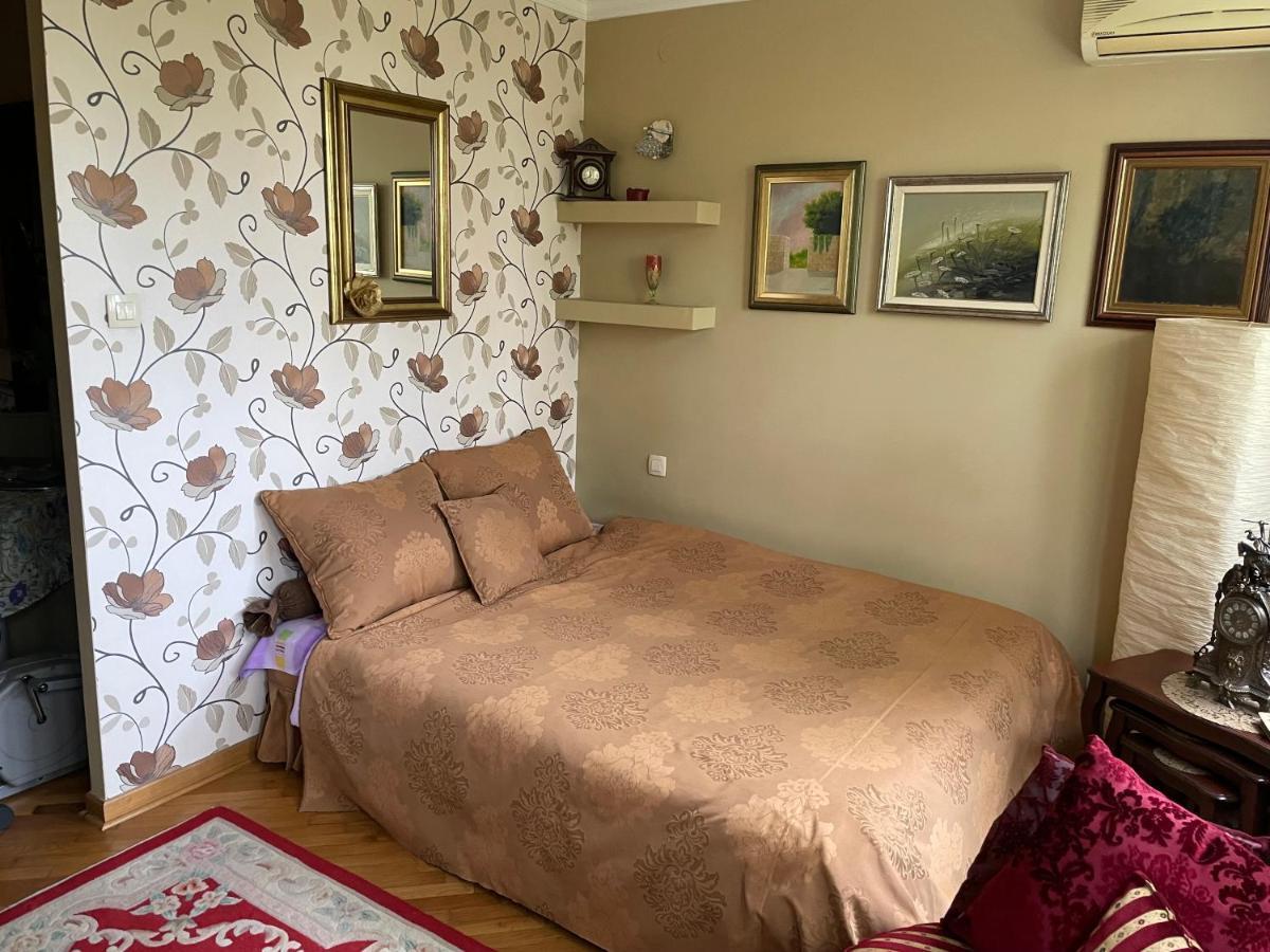 Apartment Ljiljana Belgrad Dış mekan fotoğraf